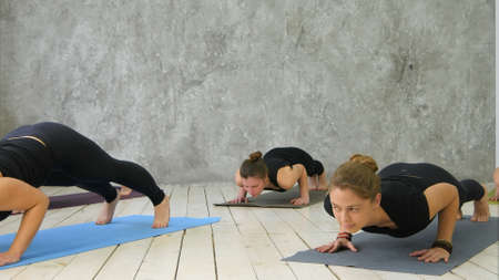 Attractive happy young women working out indoors, standing in upward-facing dog pose, urdhva mukha...