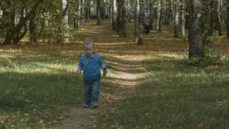 Little boy runs in autumn park.の写真素材