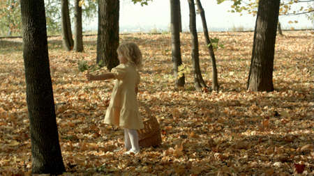 Girl with a basket full of leaves at the autumn parkの写真素材