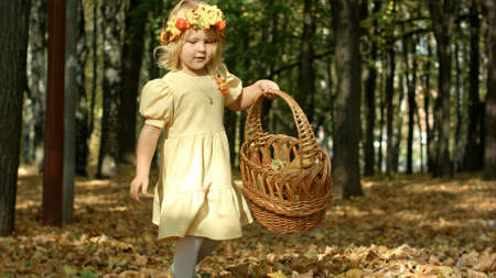 Cute girl with a basket full at the autumn parkの写真素材