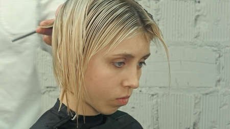Hairdresser trimming hair with scissorsの写真素材
