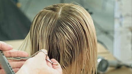 Cutting hair in a beauty salonの写真素材