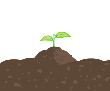 Sprout in the Groundのイラスト素材