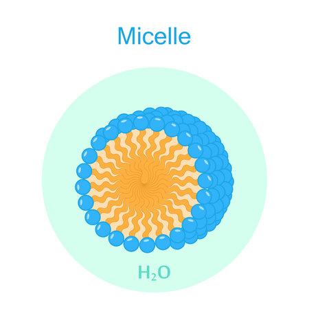 Micelle Color Iconのイラスト素材