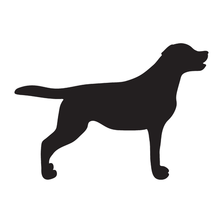 Dog Icon. Labrador Silhouetteのイラスト素材