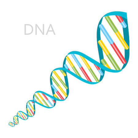 DNA strands icon. Vector illustration flat design.のイラスト素材