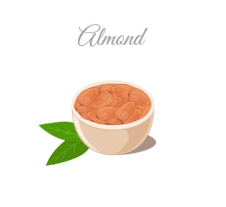 Almond Nuts in Bowlのイラスト素材