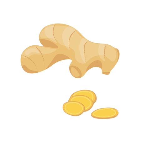 Fresh ginger root and slice.のイラスト素材