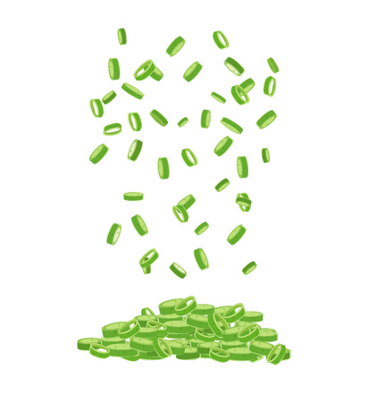 Chives isolated. Chopped fresh green onionsのイラスト素材
