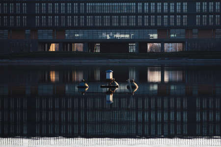 school libraryのeditorial素材