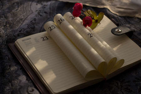 Notebook and flower in the sunの写真素材