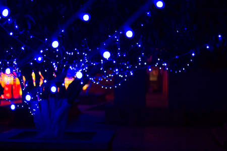 Lights hanging from a treeの写真素材