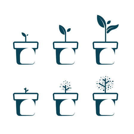 Vector drawn flower potted. Isolated on white background.のイラスト素材