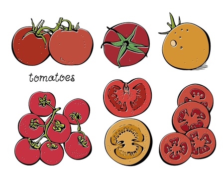 Collectoin of tomatoes and slices on a white backgroundのイラスト素材