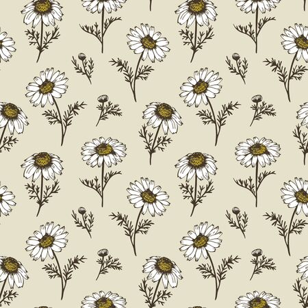 Chamomile flowers, vector pattern from hand drawn camomilesのイラスト素材