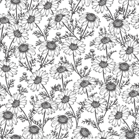 Seamless background from hand drawn chamomile, vector flower patternのイラスト素材