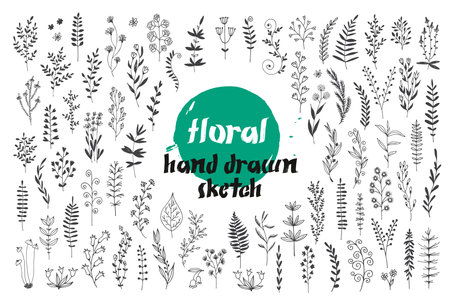 Flowers and leaves vector set, hand drawn doodle collection for decorative design, cards, invitations, isolated on white backgroundのイラスト素材