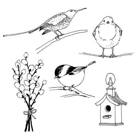 Birds, feeder and willow twig set, hand drawn collection isolated on white background, sunbird, robin, willow titのイラスト素材