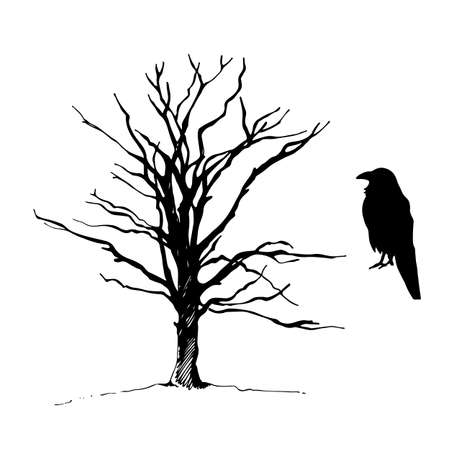 Tree and bird raven silhouette, hand drawn vector sketch, isolated on white backgroundのイラスト素材