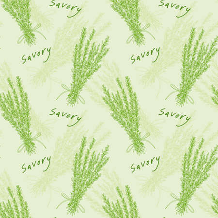 Seamless vector background with savory, hand drawn background with herbs and spicesのイラスト素材