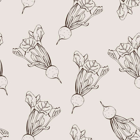 Beetroot seamless vector pattern, vegetable hand drawn food backgroundのイラスト素材