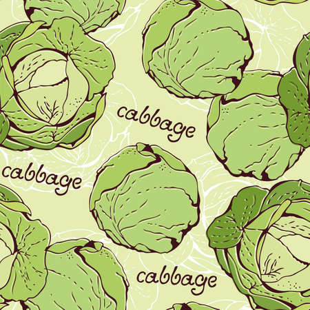 Cabbage seamless vector pattern, hand drawn food vegetable backgroundのイラスト素材