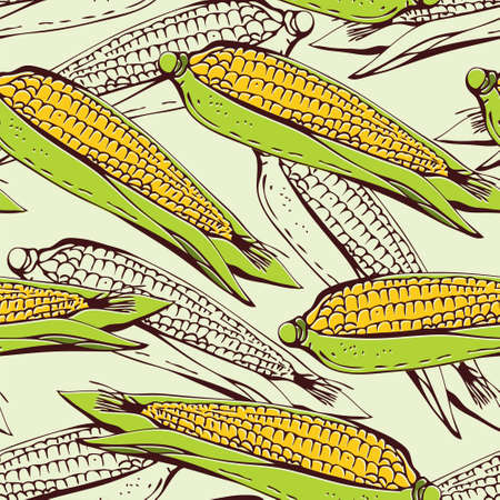 Sweet corn seamless vector pattern with fresh ripe corn cobs, hand drawn illustrationのイラスト素材