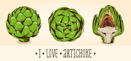 Artichoke hand drawn sketch, vector illustration isolated on gray backgroundのイラスト素材