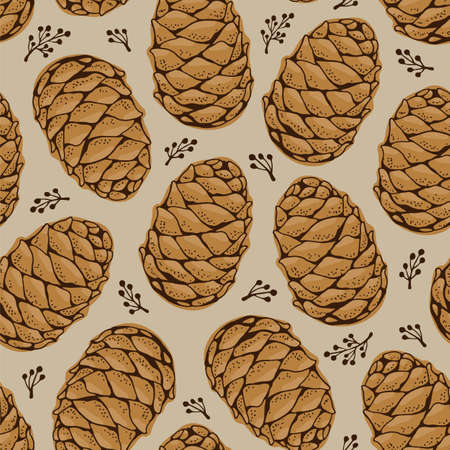 Cedar cone seamless pattern, vector hand-drawn backgroundのイラスト素材