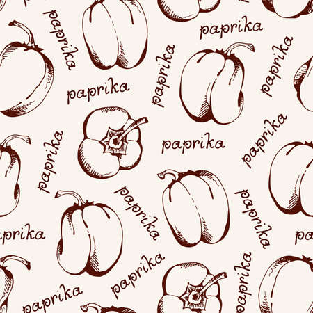 Vector food pattern, seamless background with hand drawn bell pepper, paprikaのイラスト素材