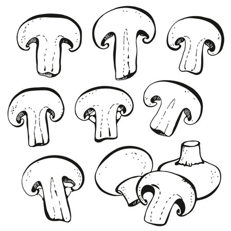 Champignon mushrooms isolated on white backgroundのイラスト素材