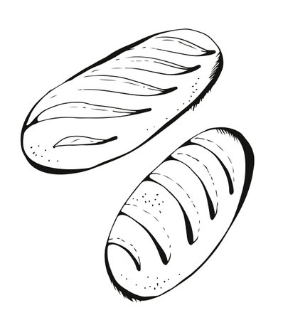 Long loaf vector illustration, hand drawn bread set isolated on whiteのイラスト素材