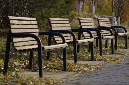 The park seatの写真素材