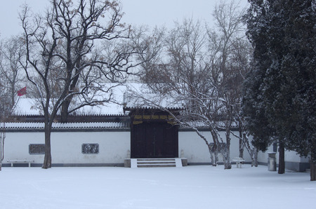 Snow  gardenの写真素材