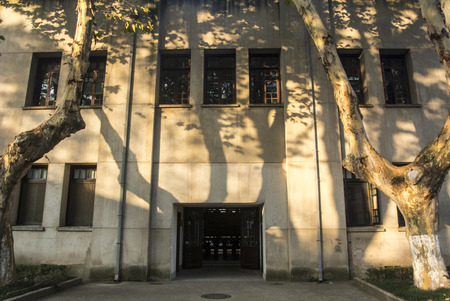 Tree shadow and architectureのeditorial素材