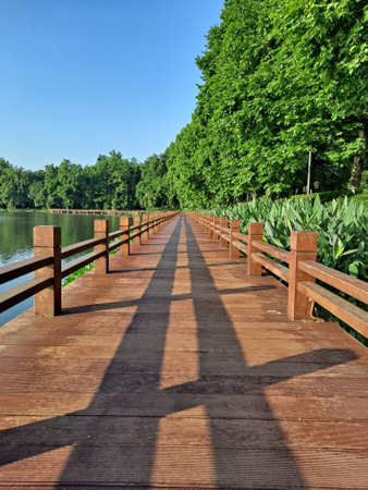 Wooden bridge over the lake in the park. Summer landscape.の写真素材