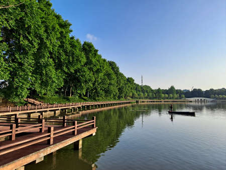 Wooden pier on the lake in the park. Summer landscape.