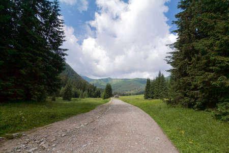 Road in Dolina Chocholowska.の写真素材