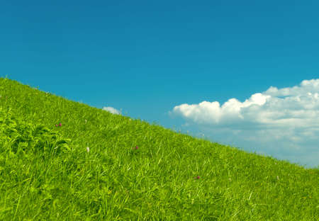 hill,blue sky,emerald herb,summerの写真素材