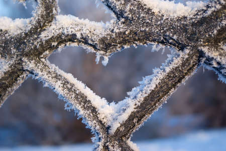 Frozenned heart -valentine..freezing patterns on metalの写真素材
