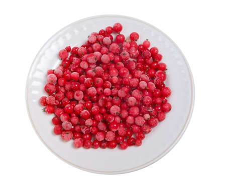 frozen red currant.useful berry on plate , much vitamins の写真素材