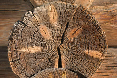 close-up wooden cut texture with burning frame  close upの写真素材