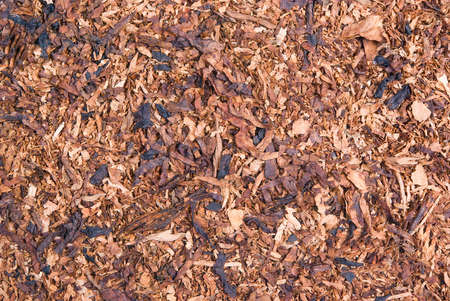 Loose cuts of dried tobacco form golden background texture 