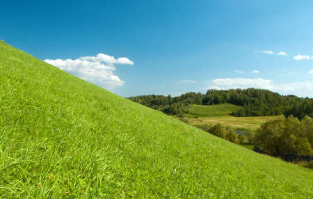 The present years landscape with a hill and a wood. A green grass and the blue skyの写真素材