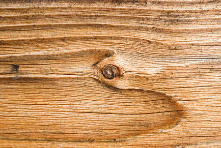 Wood texture background,old logの写真素材