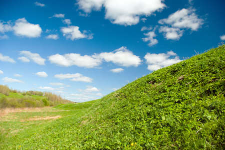 Beautiful Green Meadow with white clouds,focus set in foregroundの写真素材