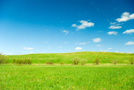 Scenic picture of a meadow with impressive sky at the backgroundの写真素材