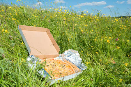 picnic .packing with pizza on green meadowの写真素材
