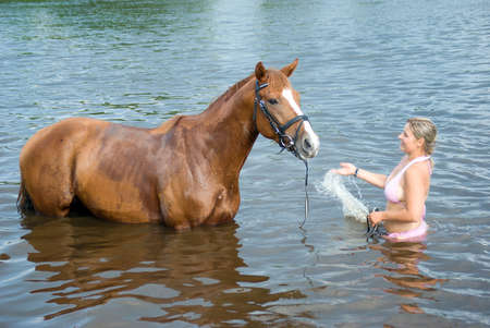 young girl bathe horse in a river.  の写真素材