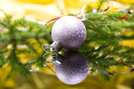 Christmas bauble  on background of the fur branchesの写真素材